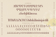 Adoretta Holland Font Duo, a Serif Font by Storytype Studio (Thumbnail 12 of 15)