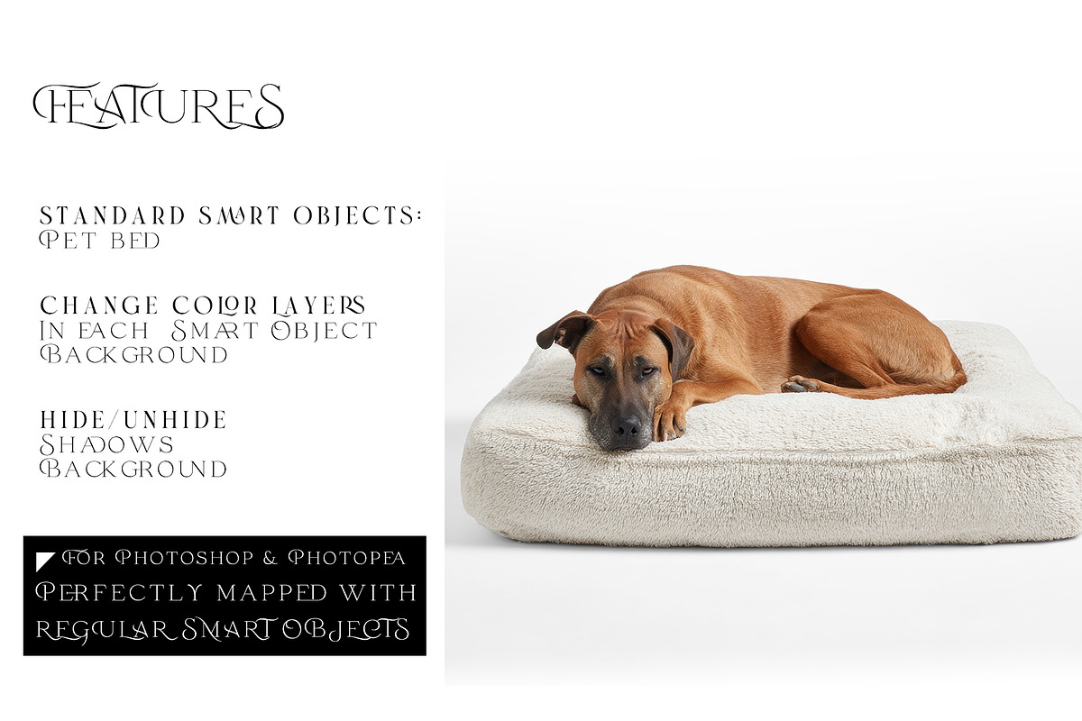 Pet Bed Mockups with Smart Object, a Product Mockup by mock-ups (Photo 3 of 13)