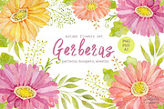 Watercolor set of gerbera flowers, a Decorative Illustration by BrushArtDesigns (Thumbnail 1 of 9)