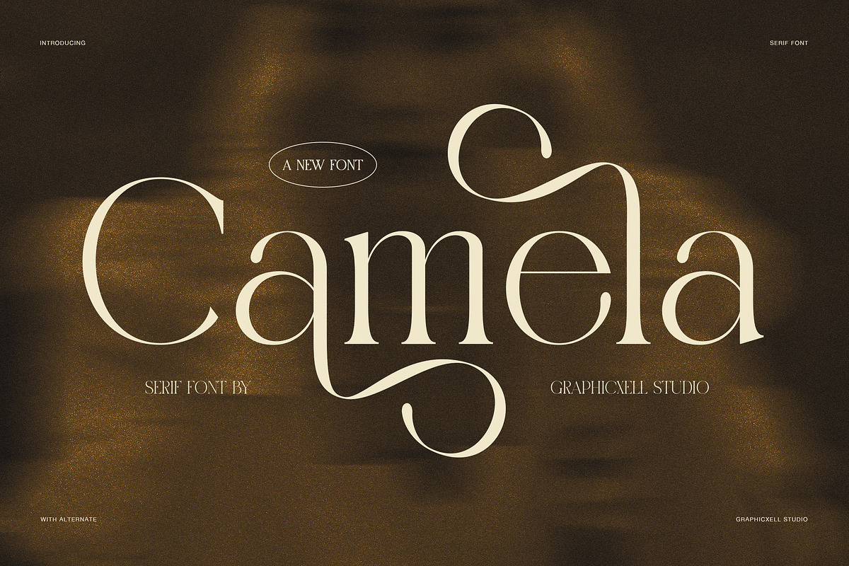 Camela Elegant Serif Font, a Serif Font by Graphicxell (Photo 1 of 8)