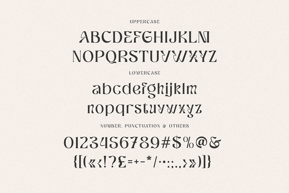 Ragnheidr Unique Serif, a Serif Font by Cruzine (Photo 5 of 8)