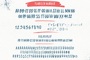 Florista Brushed Font Duo, a Script Font by Anna Ivanir (Thumbnail 10 of 12)