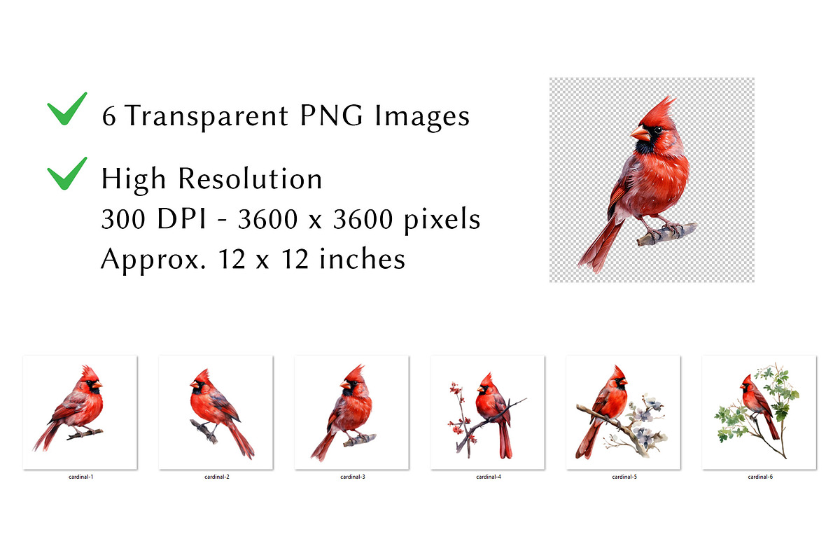 Cardinal Watercolor Clipart, an Animal Illustration by milkghost (Photo 2 of 2)