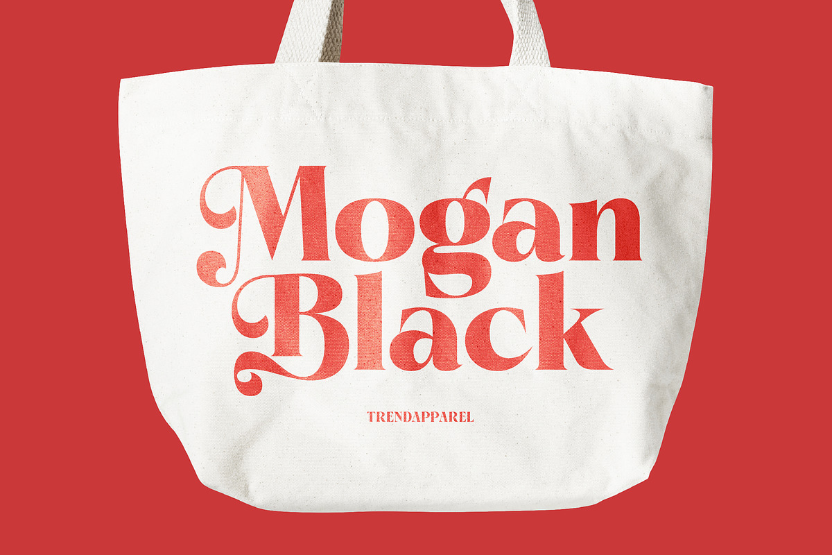 Pramid Mango Modern Display Serif, a Serif Font by timelesstype.co (Photo 10 of 20)