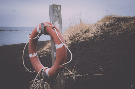 Driftwood on beach stock photo containing beach and coast preview 6