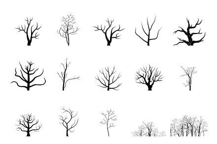 Sketch tree