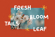 Carmos, a Sans Serif Font by vuuuds (Thumbnail 8 of 9)