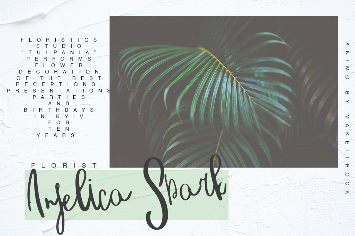 Animo|90% OFF preview 2