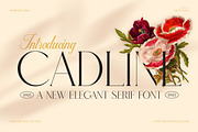Cadline Serif font, a Serif Font by Graphicxell (Thumbnail 1 of 8)