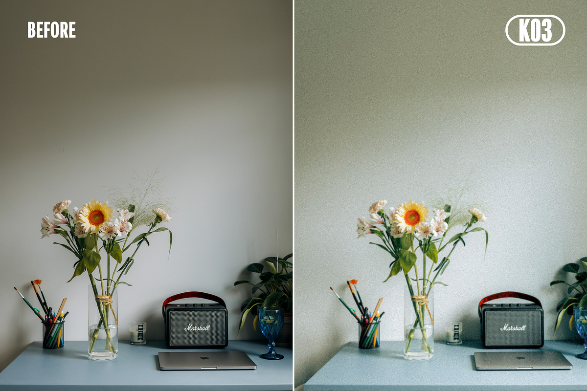 Film Presets Bundle Kodak, a Preset Add-On by VHC GRAPHICS (Photo 9 of 10)