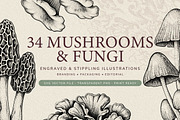 35 Mushrooms & Fungi–Engraved Vector, an Object Graphic by Gonez Studio (Thumbnail 1 of 13)