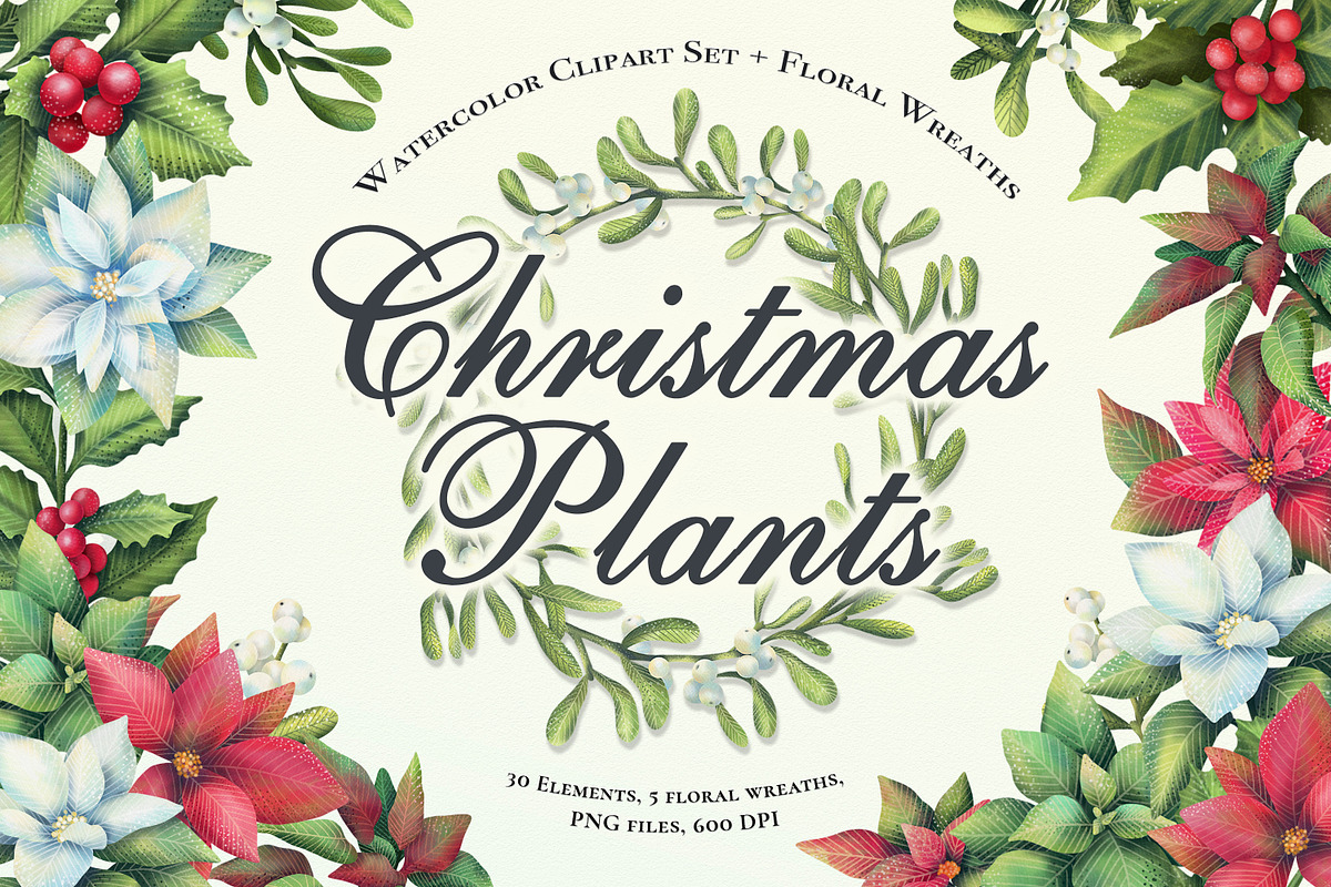 Christmas plants. Cliparts+ wreaths., an Illustration by OlyaGutArt (Photo 1 of 7)