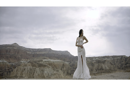 Elegant woman poses on background of, a Person Photo by Media Whale Stock