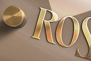Company Logo Mockup, a Product Mockup by DesignNeutrons (Thumbnail 5 of 6)