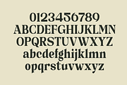 Glide Orwate-Elegant Editorial Serif, a Serif Font by MaikoHatta (Thumbnail 5 of 7)