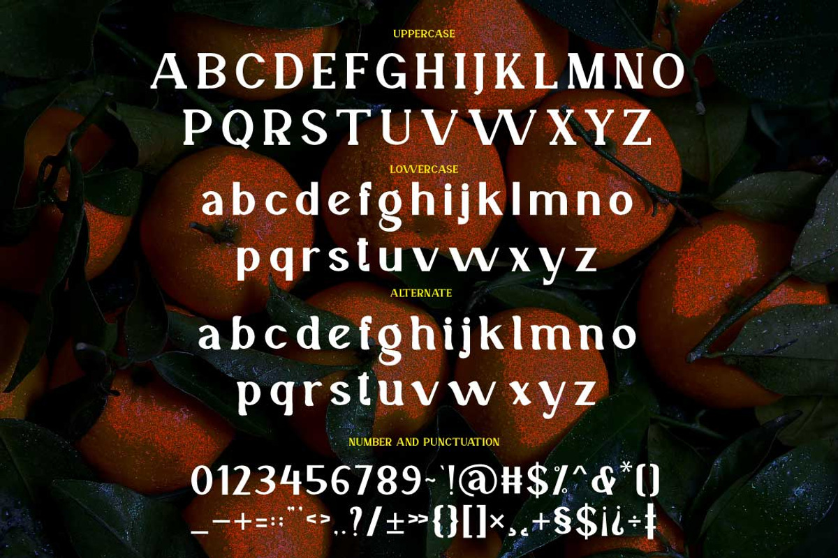 Veronika Display Font, a Serif Font by Cut Story (Photo 13 of 14)