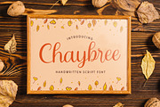 Chaybree - Handwritten Font, a Script Font by StringLabs (Thumbnail 1 of 7)