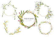 Watercolor flower -Wild flower, an Illustration by Beigetime (Thumbnail 7 of 9)