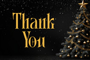 Christmas Fecsival – Elegant Serif, a Serif Font by Letterara (Thumbnail 15 of 15)