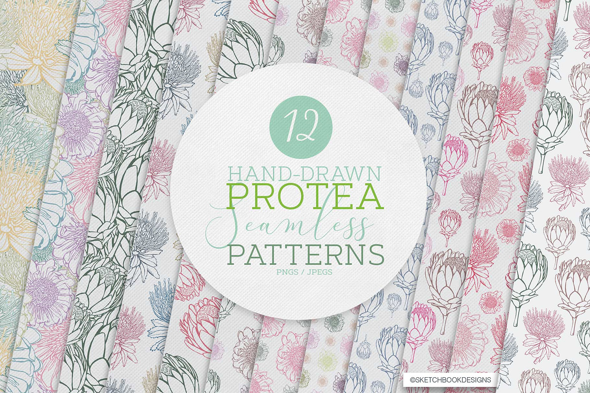 HAND DRAWN PROTEA SEAMLESS PATTERNS, a Pattern Graphic by Sketchbook ...