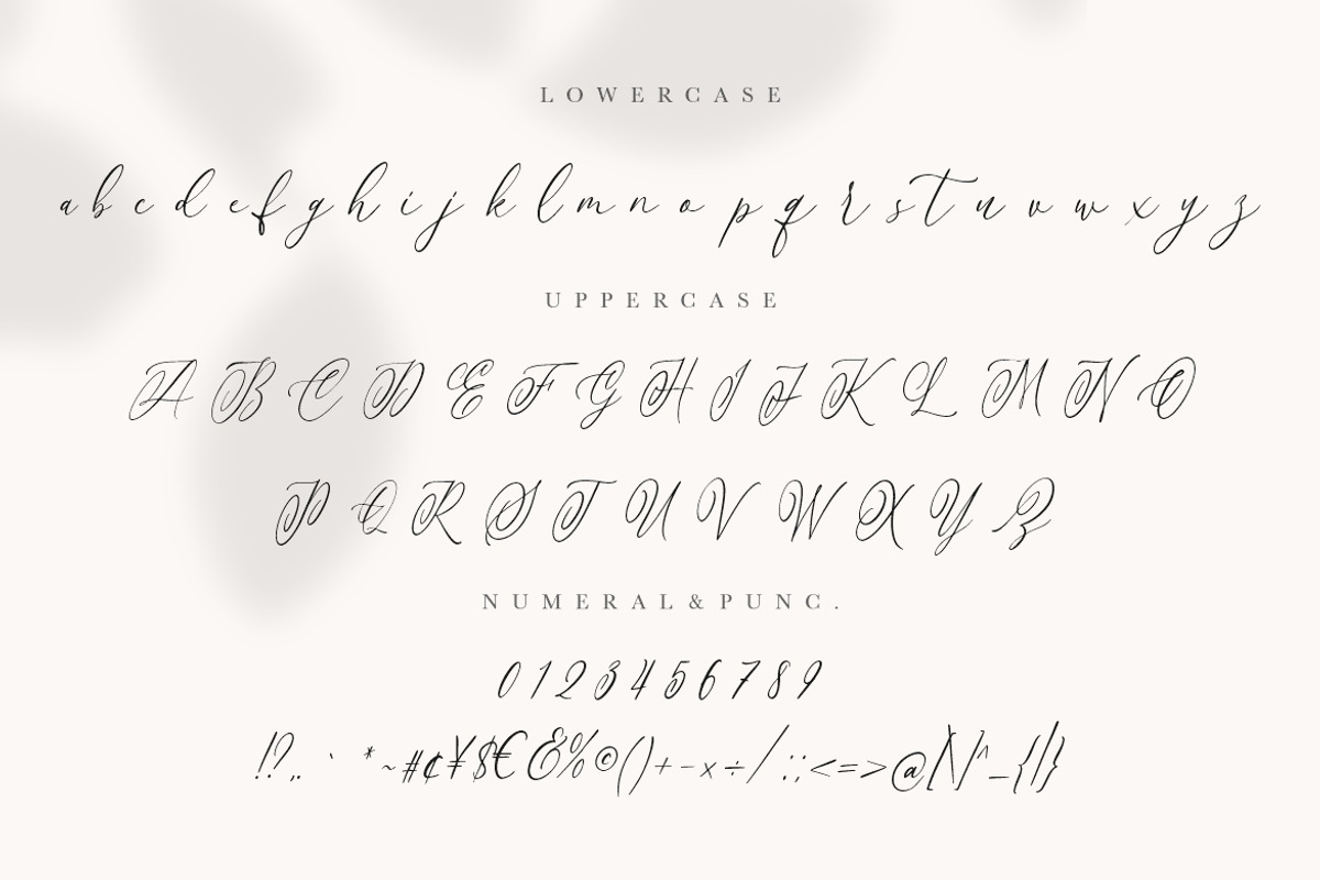 Anttelope Luxury Calligraphy, a Script Font by Creatype Studio (Photo 8 of 9)
