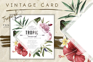 UPDATE - Tropical Bundle & Flamingo