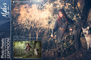 Presets for Lightroom / Reflection, an Action Add-On by Miracle_Design (Thumbnail 28 of 31)