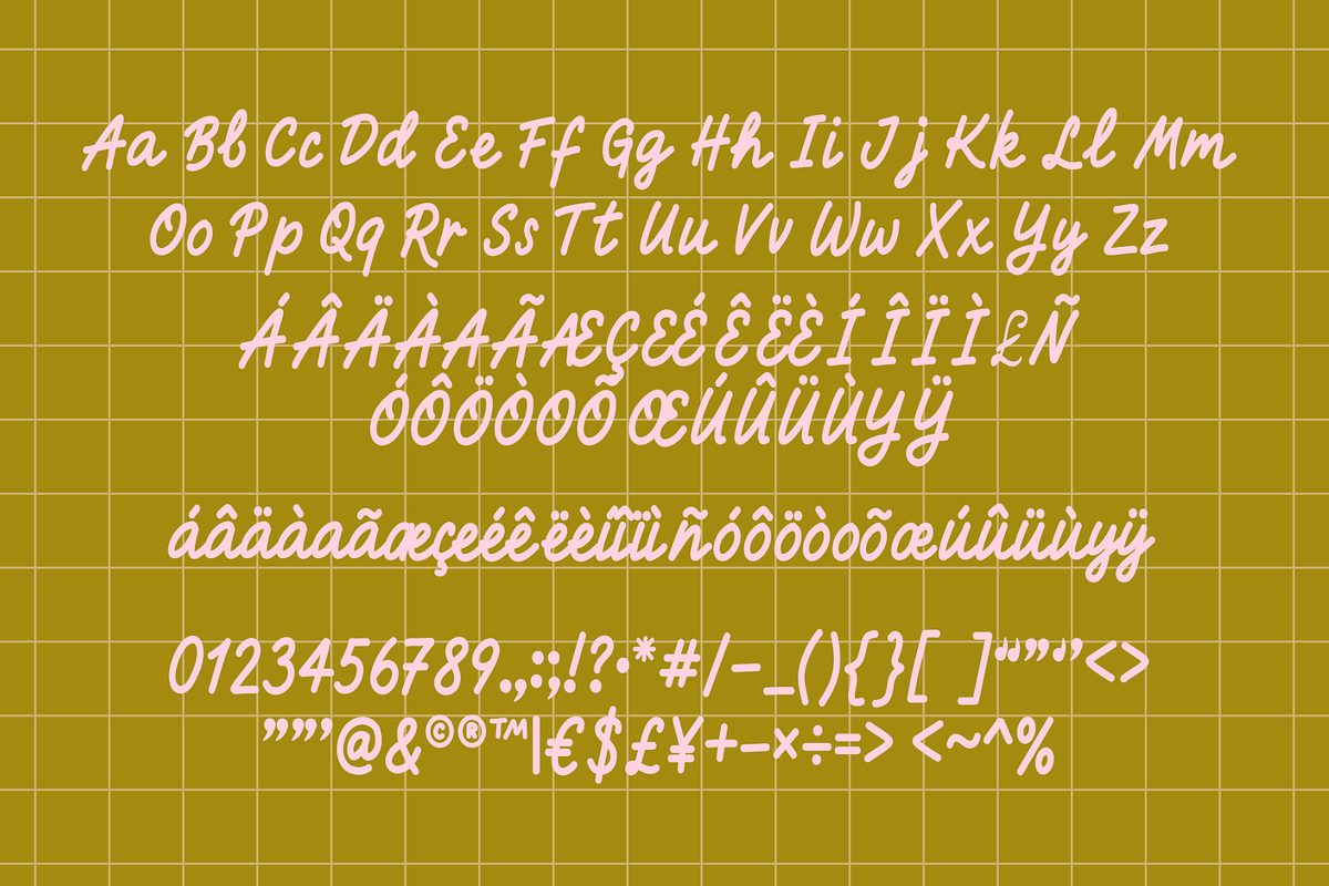 Wild Magnolia Handwriting Script, a Script Font by Nonceni (Photo 12 of 12)