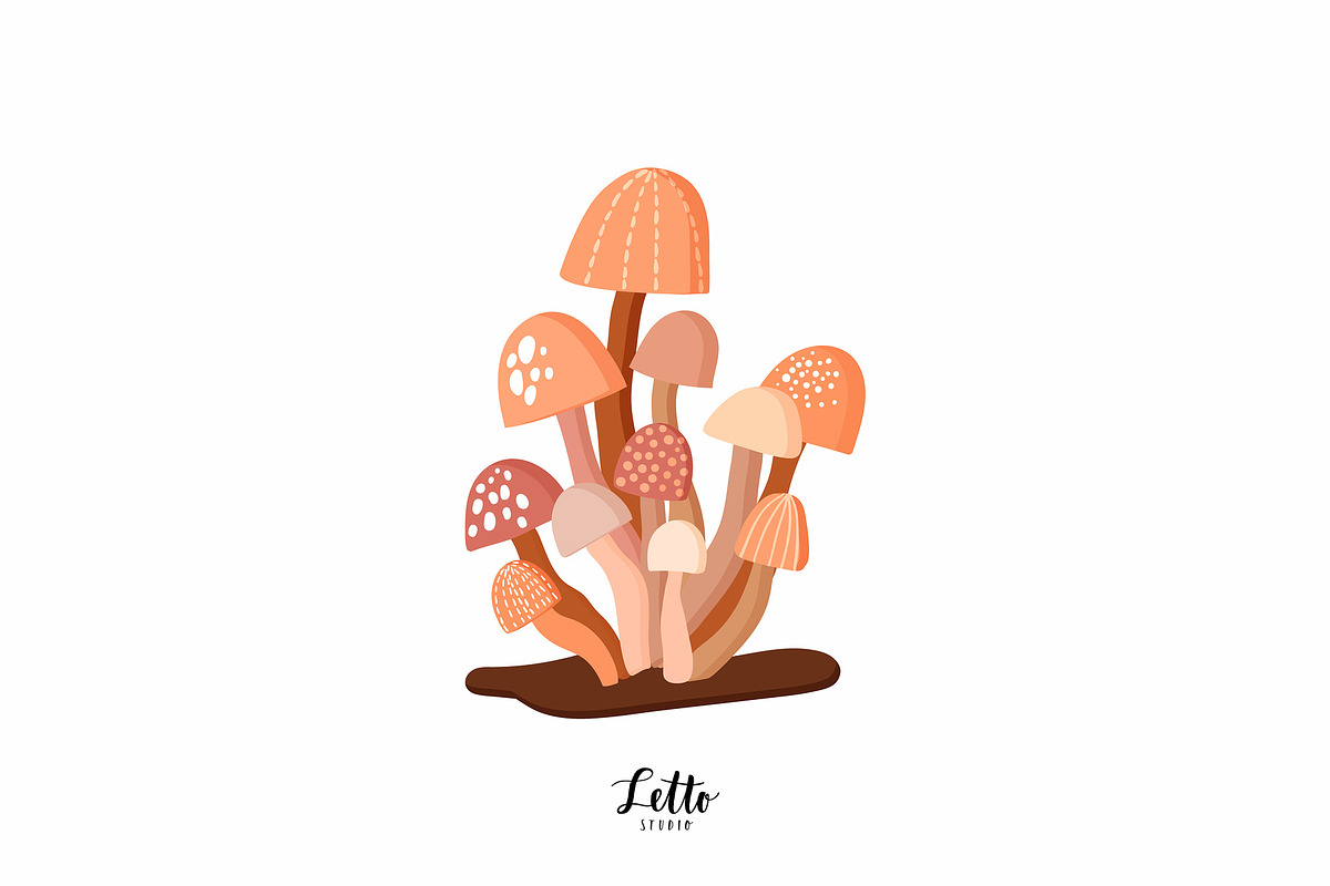 Autumn botanicals collection, a Decorative Illustration by Letto studio (Photo 7 of 7)