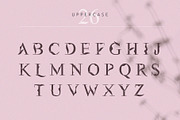 Flora | Modern Display Font, a Serif Font by Kandella's Art (Thumbnail 2 of 18)