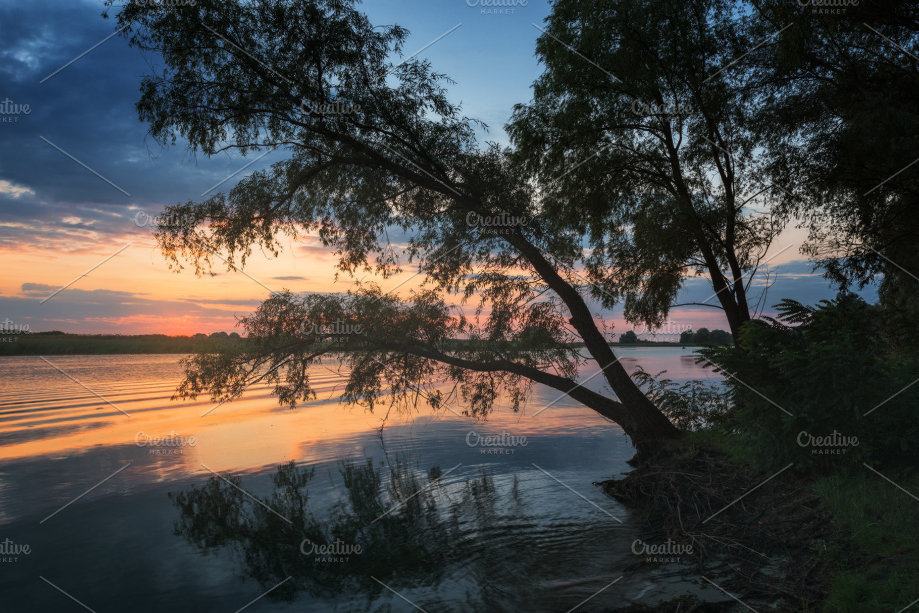 Svidivok dawn on the dnieper containing autumn, beauty, and cherkasy, a Nature Photo by naumenkophotographer