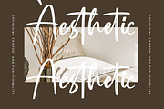 Southery Bold Brush Font, a Script Font by stylishtype.co (Thumbnail 6 of 20)
