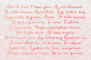 Bohema Pink Handwritten Font, a Script Font by CallMeStasia (Thumbnail 10 of 12)