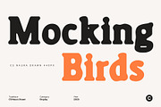 CS Naura Drawn, a Serif Font by Craft Supply Co. (Thumbnail 3 of 8)