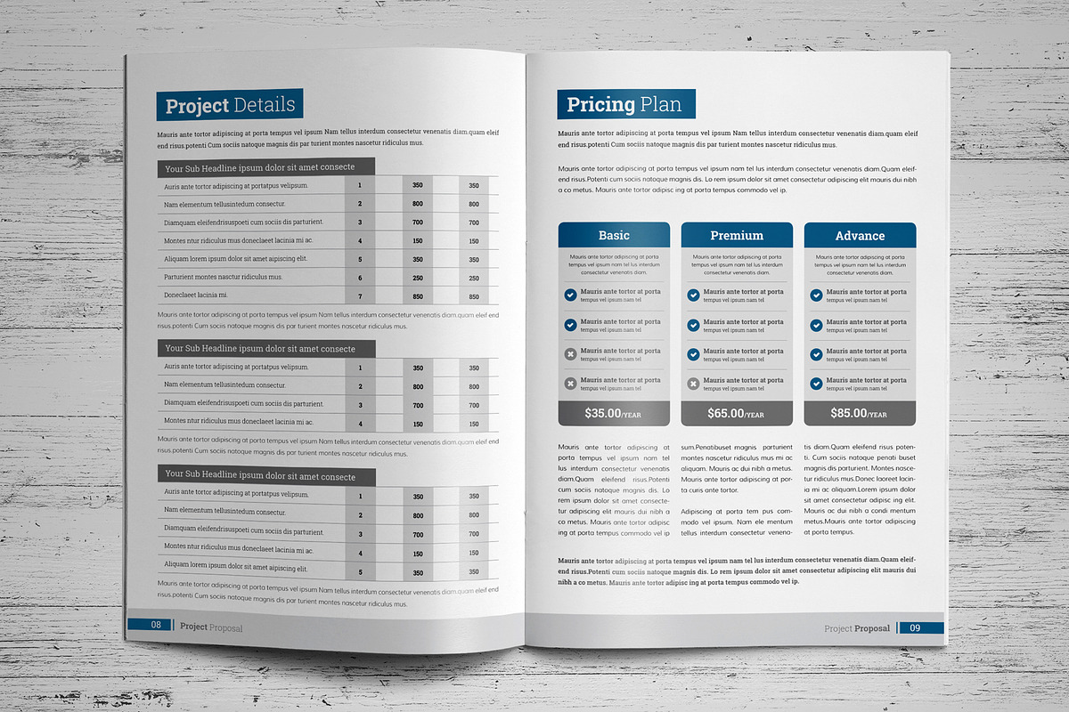 Project Proposal Template V6, a Brochure Template by JanySultana (Photo 5 of 14)