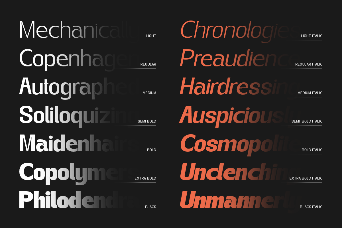 Gegant Font, a Sans Serif Font by Megatype (Photo 10 of 15)