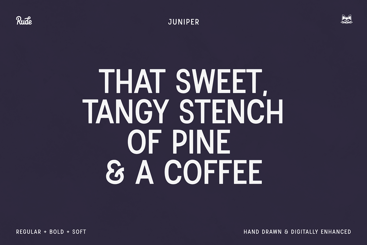 Juniper Display Font, a Sans Serif Font by bryrude (Photo 2 of 4)