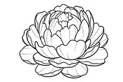 50 Floral Nature Vector Illustration, an Illustration by Gaye Art (Thumbnail 5 of 51)