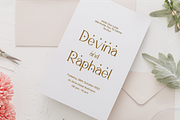 Meridian Premium Serif Font, a Serif Font by Artiveko (Thumbnail 3 of 11)