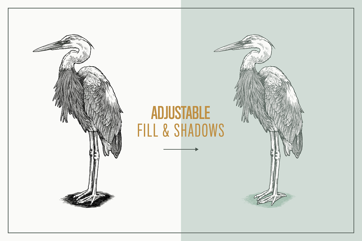 Hand Drawn Shorebirds Set, an Animal Illustration by Well Rock Designs (Photo 3 of 8)