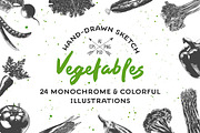 Collection of hand-drawn vegetables, a Food Illustration by Akimo Mia (Thumbnail 1 of 5)