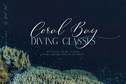 English Channel. Duo Font., a Serif Font by Red Ink (Thumbnail 5 of 15)
