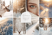 210 Christmas Winter Stock Photos, a Holiday Photo by Allure Art (Thumbnail 11 of 38)