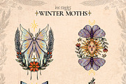 Winter Moths & Evergreen Botanicals, a Seasonal Illustration by Ink Stories (Thumbnail 7 of 15)