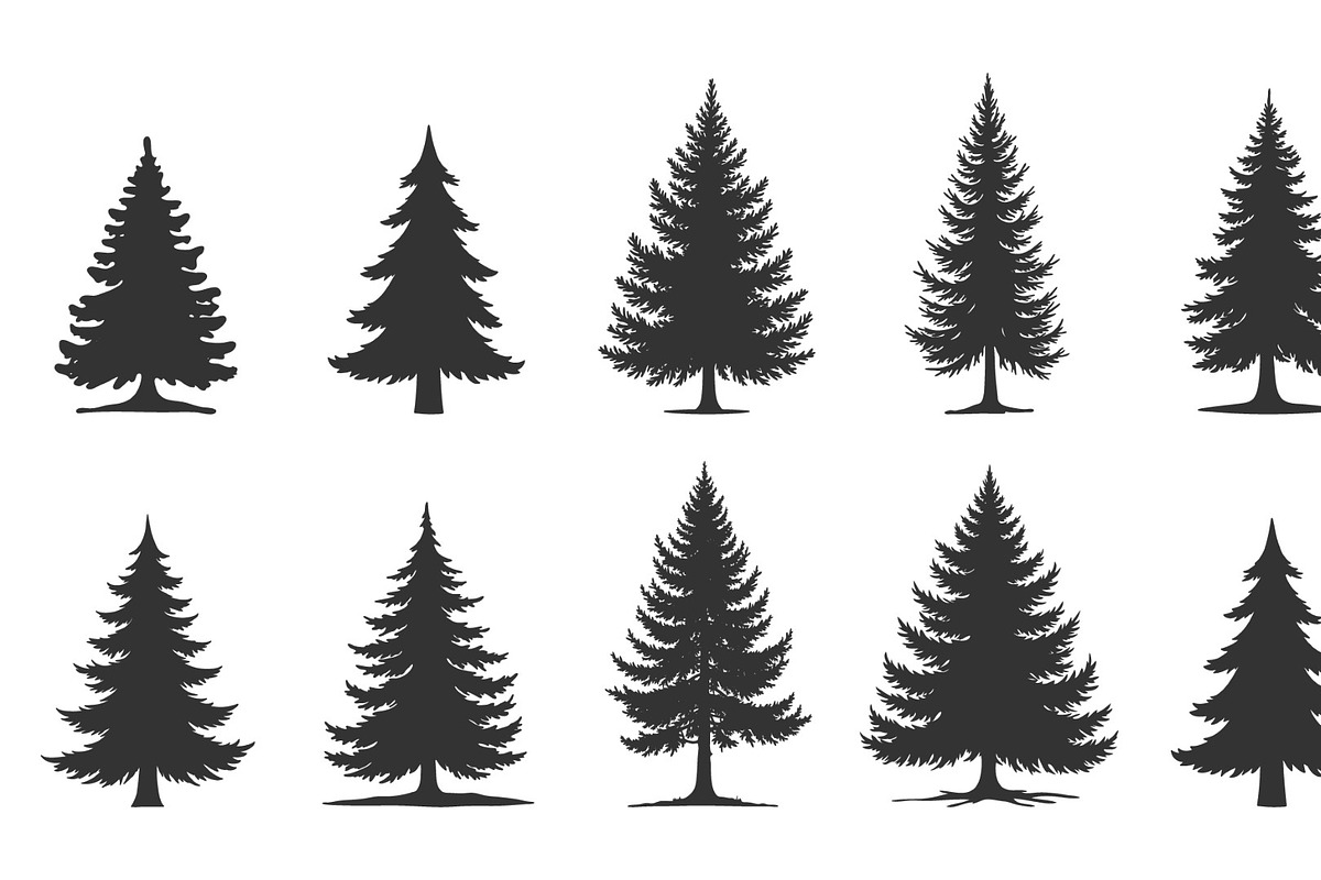 Pine Tree Silhouette Set Trees icon, a Solid Icon by RAHMAT (Photo 2 of 3)