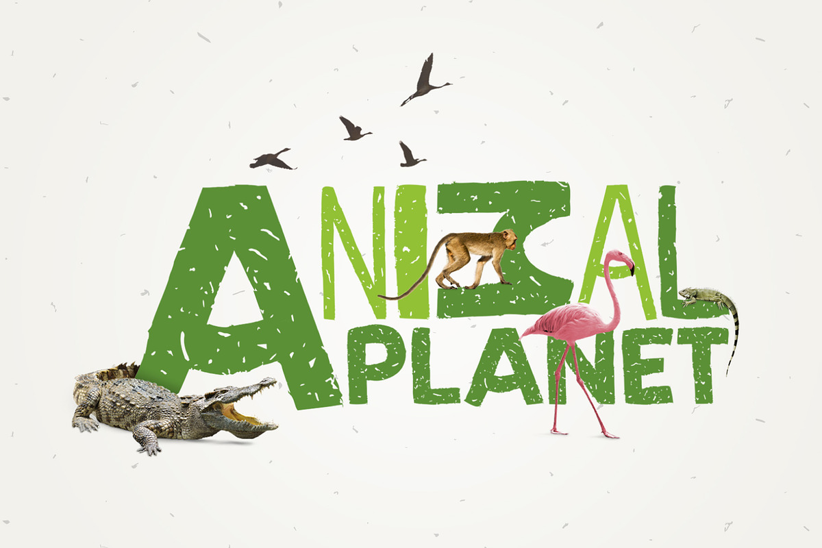Koara / handmade font family preview 7