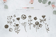 Autumn Rose Watercolor Set, a Decorative Illustration by Bibela (Thumbnail 6 of 11)