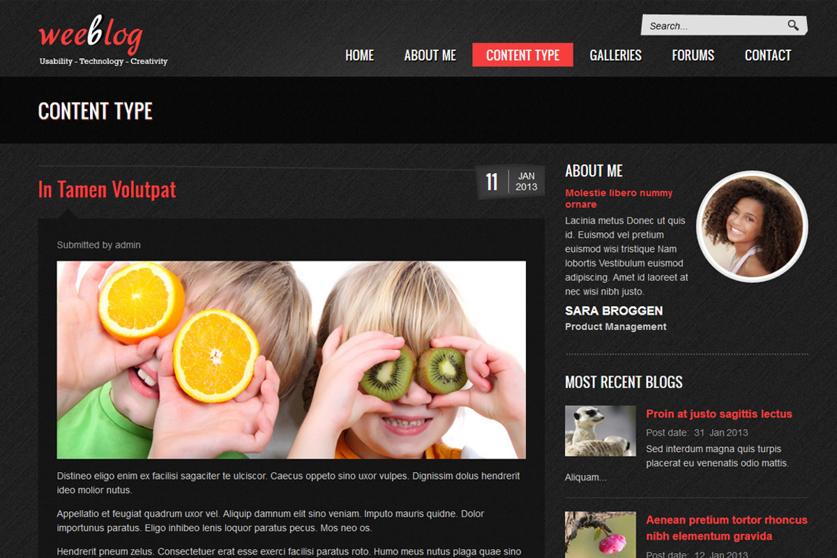 Personal Blog, a Websites & App Template by WeebPal Corp (Photo 4 of 5)