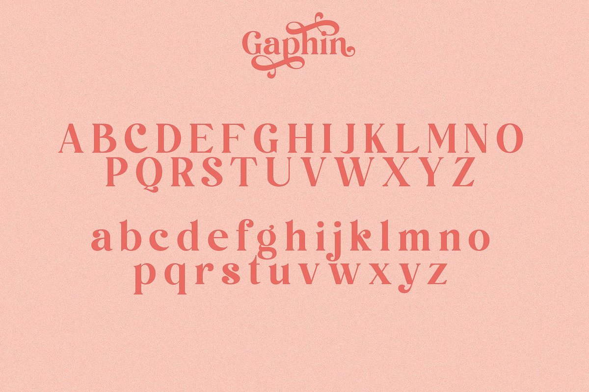 Author - Modern Serif Font, a Serif Font by Luna Shop (Photo 2 of 11)