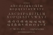 Midkon Elegant Serif Font, a Serif Font by Elegant Font (Thumbnail 7 of 8)